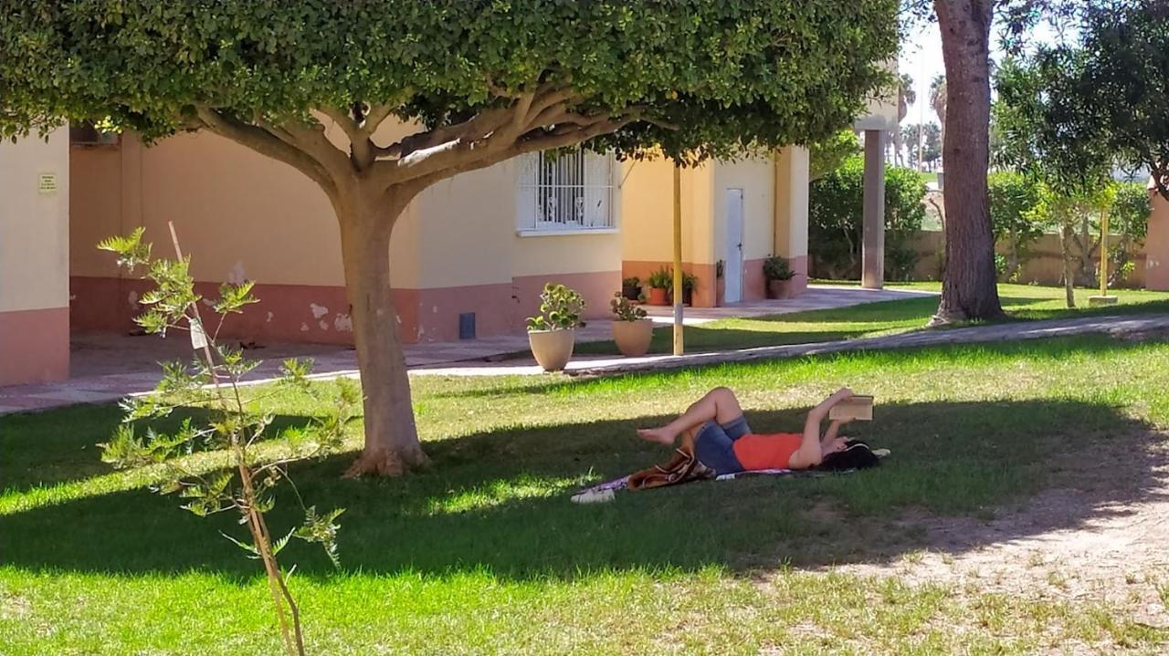 Appartamento Coqueto Con Terraza En La Playa